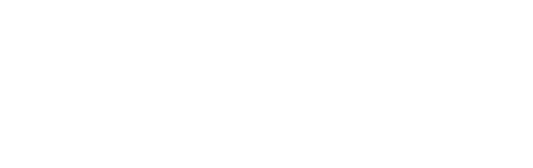 Sikkerhedsstyrelsen.